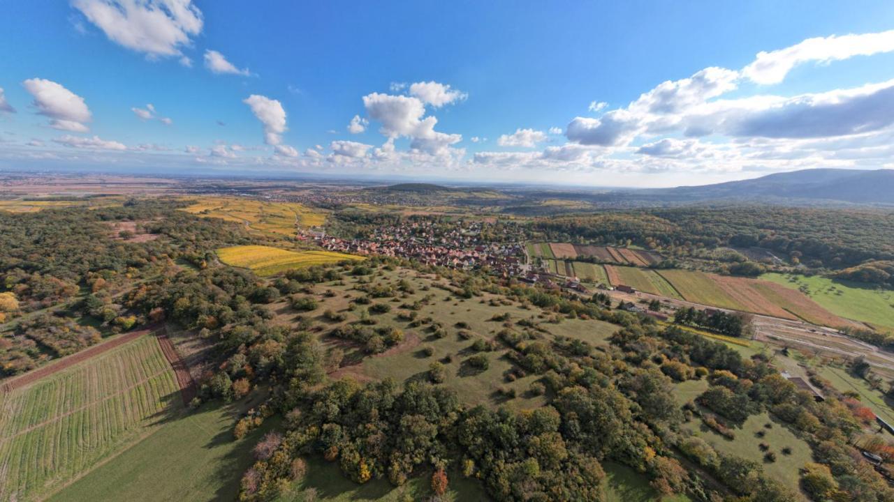 Gite Le Petit Moulin Rosenwiller Eksteriør billede
