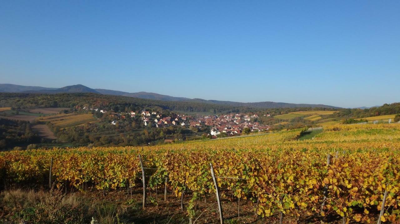 Gite Le Petit Moulin Rosenwiller Eksteriør billede