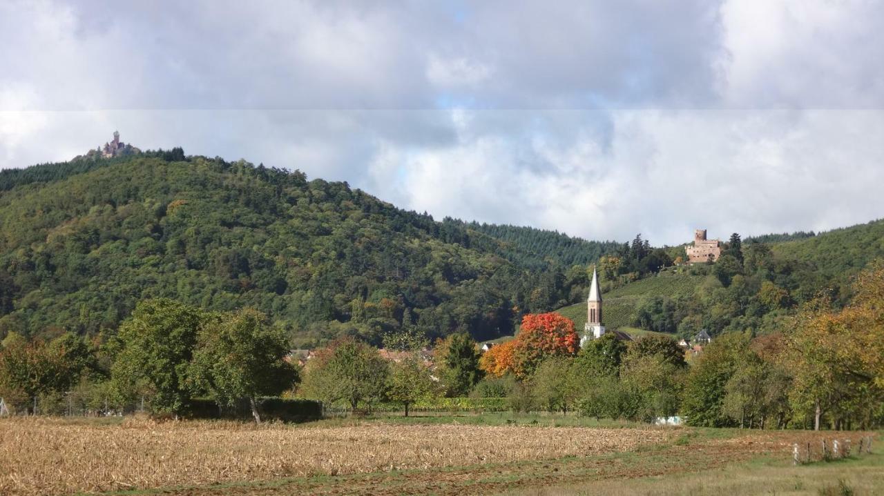 Gite Le Petit Moulin Rosenwiller Eksteriør billede