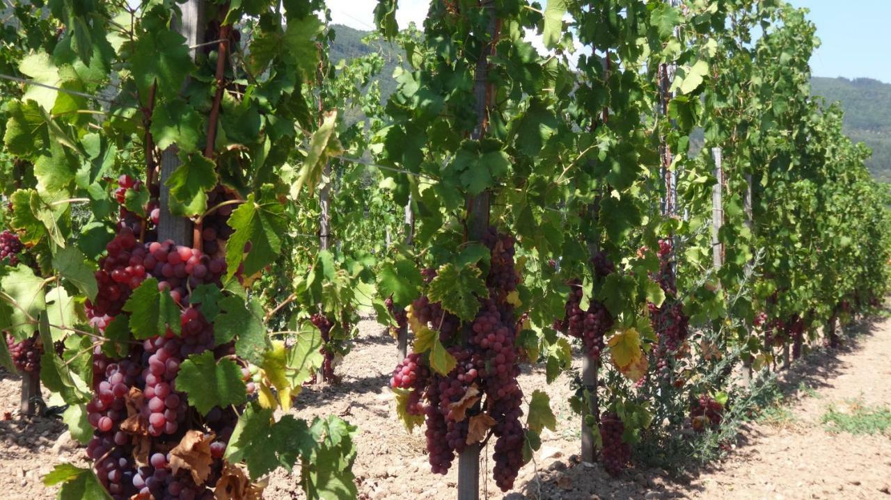 Gite Le Petit Moulin Rosenwiller Eksteriør billede