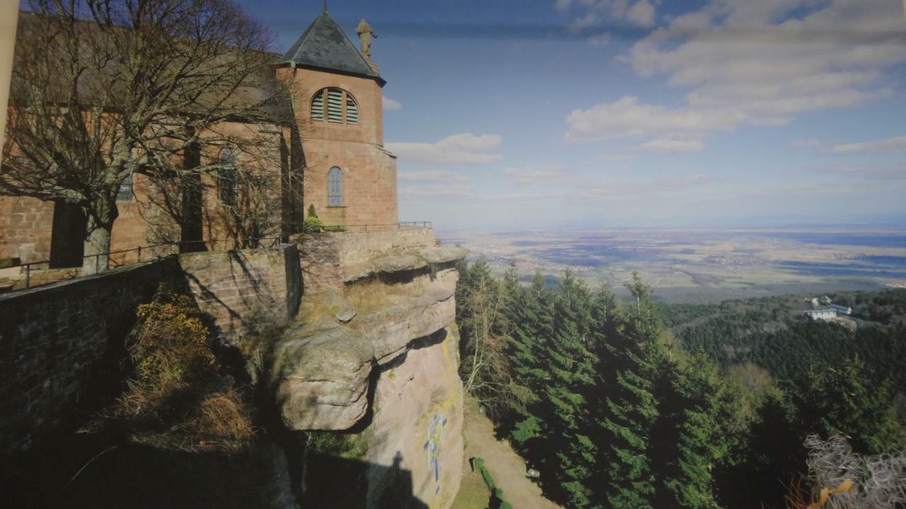 Gite Le Petit Moulin Rosenwiller Eksteriør billede