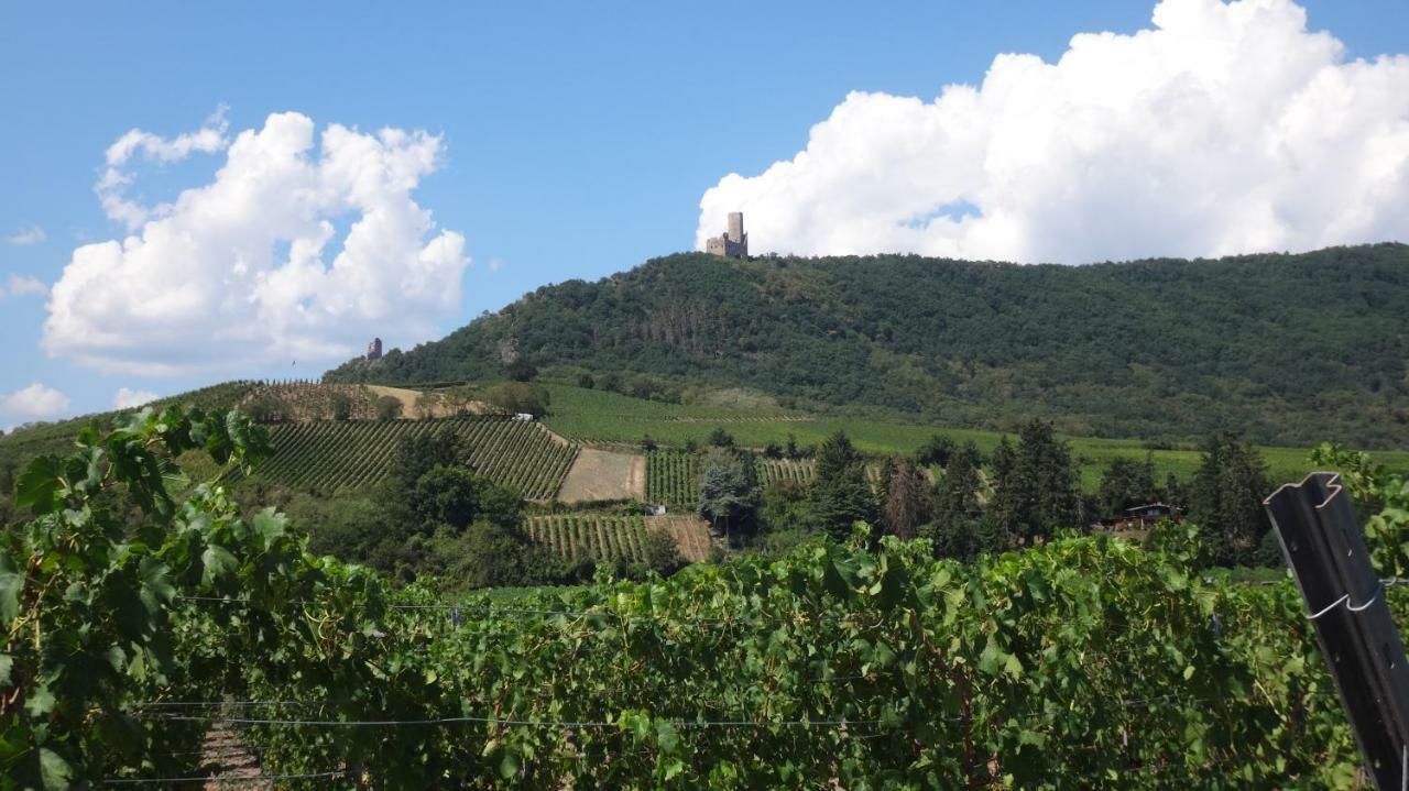 Gite Le Petit Moulin Rosenwiller Eksteriør billede