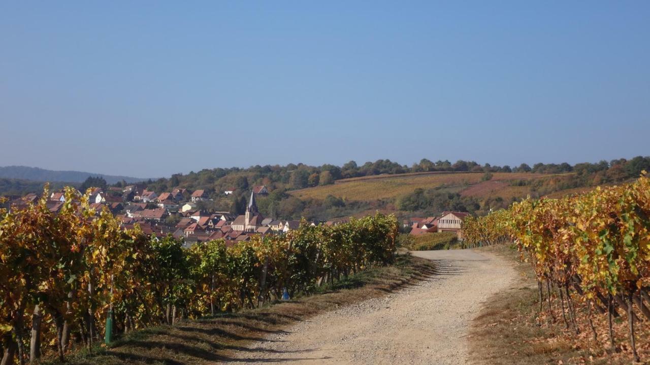 Gite Le Petit Moulin Rosenwiller Eksteriør billede